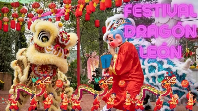 festival del dragón y del león en china