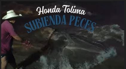 Subienda Peces Honda Tolima