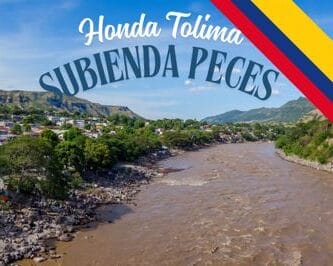Subienda Peces Honda Tolima