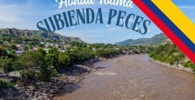 Subienda Peces Honda Tolima