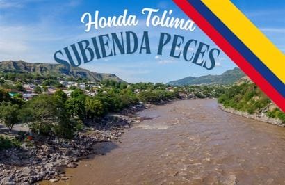 Subienda Peces Honda Tolima