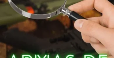 Fácil Identificación de las armas de fuego Parte 2