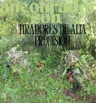 Tiradores de Alta Precisión: El arma secreta en el campo de batalla