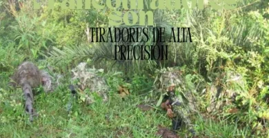 Tiradores de Alta Precisión: El arma secreta en el campo de batalla