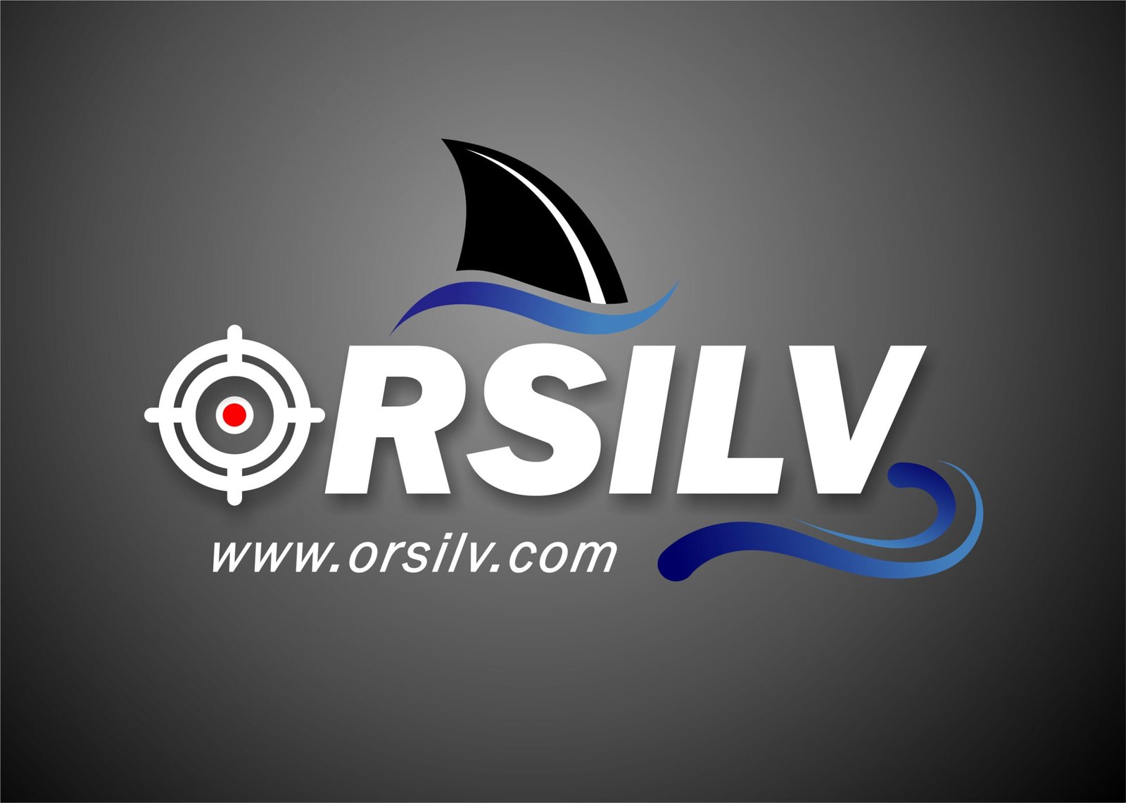 ORSILV PERSPECTIVA GLOBAL